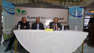 استورد تقاويك بنفسك”.. جمعية منتجي البطاطس تواجه احتكار استيراد التقاوي بمبادرة جديدة