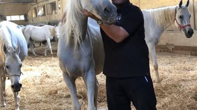 مبادرة المغاوري لدعم محطة الزهراء للخيول العربية تكشف تفاصيل أضخم مزاد في تاريخها