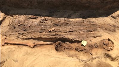 اكتشاف مقابر ومومياوات بـ ألسنة ذهبية بجبانة قويسنا الأثرية بالمنوفية | صور 