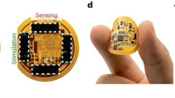الضمادة الطبية