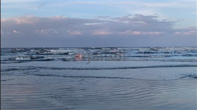 شاطئ بورسعيد يشهد ارتفاعًا للأمواج.. وانتظام حركة الملاحة وغياب الصيادين | صور