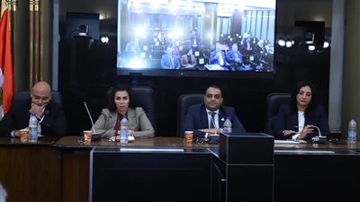 سياحة الشيوخ: إعداد مذكرة وتوصيات لتعظيم دور السياحة البيئية.. ومنظومة الشركات تحتاج لمراجعة