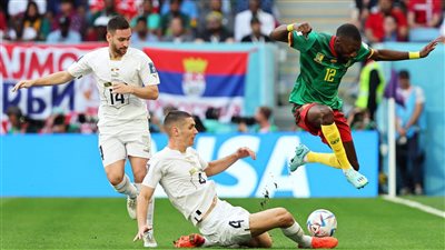 حظوظ منتخب الكاميرون في التأهل إلى دور الـ16 من كأس العالم