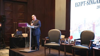 وزير المالية: 208% زيادة في صادراتنا إلى سنغافورة عام 2021