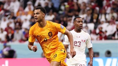 نتيجة مباراة قطر وهولندا.. العنابي يتأخر بهدف أمام الطواحين في الشوط الأول