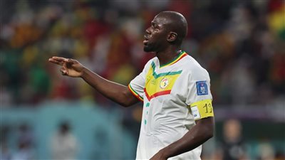 كوليبالي وكايسيدو يدخلان تاريخ السنغال والإكوادور في كأس العالم 