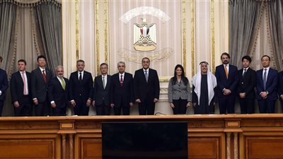 اتفاق تمويل دولي لإقامة محطتي طاقة متجددة.. رئيس الشركة الإماراتية: يعكس ثقة المؤسسات العالمية بمستقبل الاستثمار في مصر