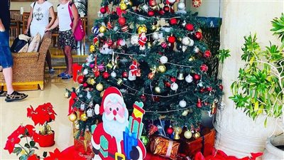 فنادق مرسى علم تتجمل استعدادا لـ الاحتفال بـ الكريسماس ورأس السنة | صور