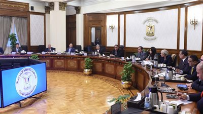 رئيس الوزراء: نركز في الفترة المقبلة على قطاعي الصناعة والزراعة.. وتكليف بوضع استراتيجية تطوير الصناعة المصرية وتعميق المكون المحلي