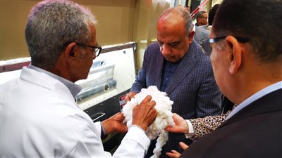 وزارة قطاع الأعمال: بيع 890 ألف قنطار ضمن منظومة تداول القطن عبر مزادات علنية