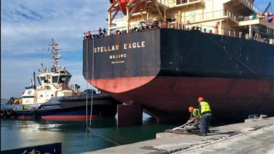 سكرتير شعبة النقل: البنوك ترفض قبول الدفعات الدولارية من شركات الشحن بدون مبرر