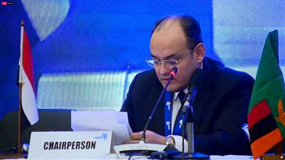 التجارة والصناعة: 1.025 مليار دولار حجم التبادل التجاري بين مصر واليابان في 2022