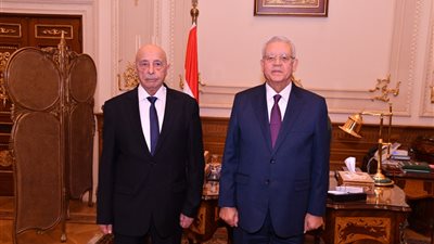 رئيس مجلس النواب: مصر تدعم البرلمان الليبي للاضطلاع بدور رئيسي في العملية السياسية