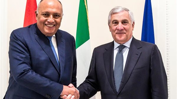 سامح شكري وزير الخارجية