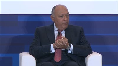 شكري يستقبل رئيسة لجنة الخارجية والدفاع بالشيوخ الإيطالي غدا