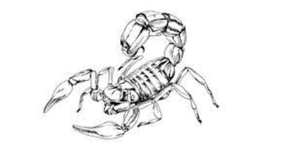 حظك اليوم.. توقعات برج العقرب اليوم السبت 3-12-2022