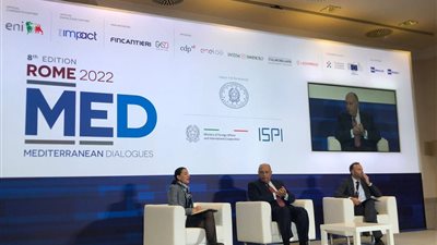 شكري يستعرض رؤية مصر إزاء مختلف القضايا الإقليمية والدولية في جلسة حوارية خاصة 