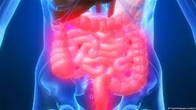 كيف يتجنب النباتيون التهابات القولون العصبي؟.. نصائح مهمة لراحة الجهاز الهضمي