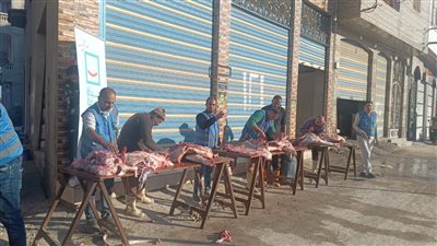 احتفالًا بزيارة الرئيس السيسي.. حياة كريمة تقيم أكبر مائدة طعام لأهالي قرية الحصص بالدقهلية