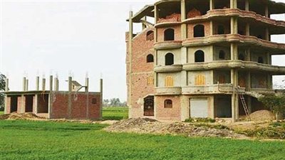 الإفتاء: البناء على الأراضي الزراعية لا يجوز شرعًا لأنه ضرر عظيم