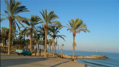 انخفاض درجات الحرارة وتوقعات بسقوط أمطار.. حالة الطقس بشمال سيناء اليوم