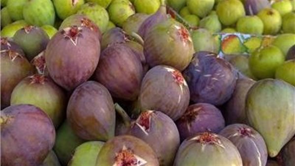 فوائد التين البرشومي