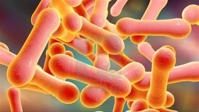 ظهور حالة إصابة بعدوى الدفتيريا شديد العدوى في مدرسة ابتدائية ببريطانيا