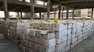 قبل طرحها بالأسواق.. ضبط 125.8 طن زيت طعام منتهية الصلاحية بالغربية