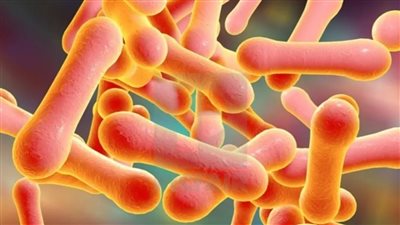 خطير وعدوته حادة.. حقيقة وجود فيروس الدفتيريا في مصر بعد انتشاره ببريطانيا | بث مباشر