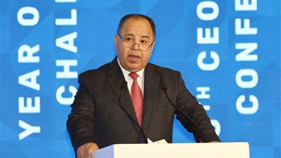 وزير المالية: مصر لديها فرص واعدة لمشروعات الطاقة النظيفة