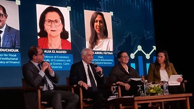 نائب وزير المالية: ما يزعجنا حاليا ليس الدين الخارجي بل وصول خدمة الدين لمستويات مزعجة 