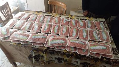 ضبط 270 لتر سولار ولحم مفروم غير صالح للاستخدام الآدمي بالفيوم