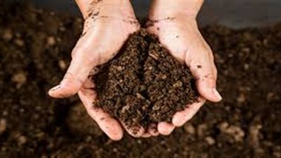 في اليوم العالمي لـ التربة.. تعرف على دورها في حياة الإنسان