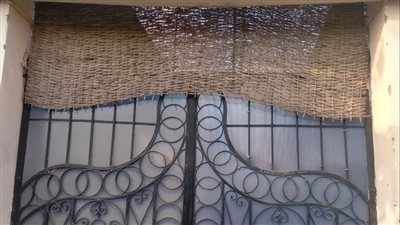 بعد غلقهم مركز الشباب.. إحالة العاملين بـ 4 مراكز بالقليوبية للتحقيق الفوري