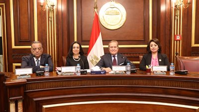 مايا مرسي تقترح مشروع قانون للإيذاء البدني خلال اجتماع حقوق إنسان الشيوخ