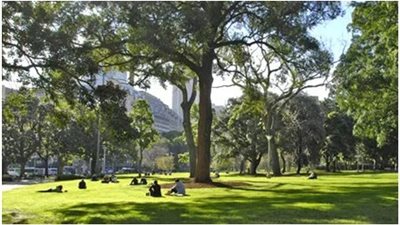 السكن في مناطق بها مساحات خضراء يساعد في تحسين الصحة العقلية والجسدية | دراسة