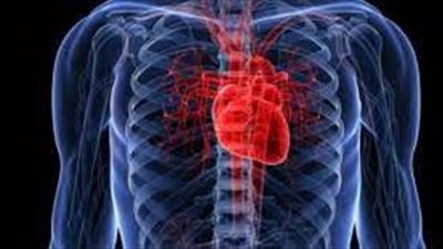 كيف يؤثر فيروس كورونا على صحة القلب؟.. دراسة توضح