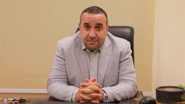 الصحفي وائل لطفي