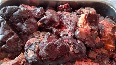 ضبط 1350 كيلو أسماك ومواد غذائية غير صالحة للاستهلاك الآدمي بالبحيرة