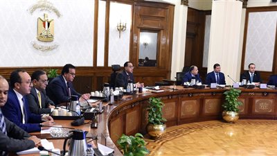 رئيس الوزراء يوجه بإعداد خطة استراتيجية لتوطين صناعة الأعلاف في مصر