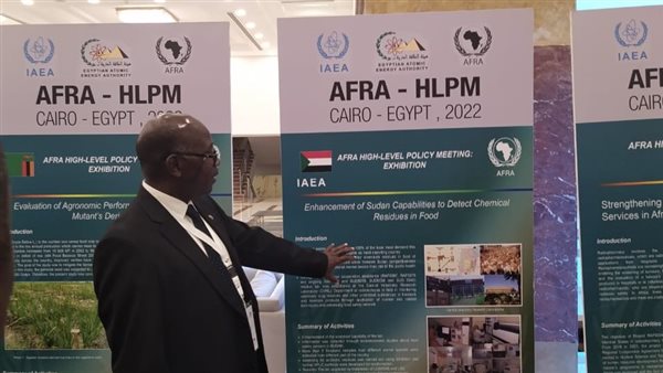 الوزراء الافارقة