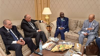 شكري يلتقي وزير الشئون الخارجية والتعاون والموريتانيين في الخارج بالرياض