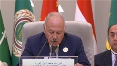 أمين عام جامعة الدول العربية: أطلقت على الربيع العربي اسم التدمير العربي منذ 2011 