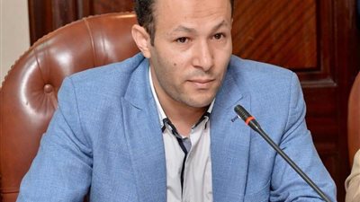 فتحي سليمان: يجب تسهيل مهمة الصحفي للوصول إلى المعلومات من مصادرها الموثوقة