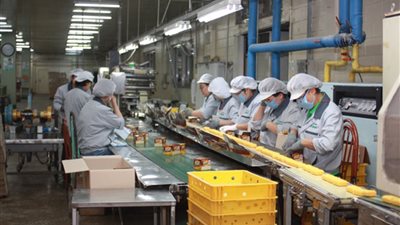 بعد 70 عاما في خدمة الاقتصاد.. بيع خطوط إنتاج متقادمة شركة النيل للزيوت والمنظفات الحكومية