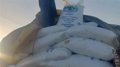 تفاصيل ضبط 12 طن كيماويات قبل بيعها في السوق السوداء بالشرقية