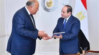 لتنفيذ استراتيجية حقوق الإنسان.. السيسي يوجه وزير الخارجية بالتعاون مع مؤسسات المجتمع المدني | بث مباشر 