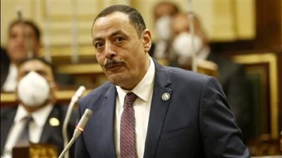 تعليم النواب: تعاون الأوقاف والتعليم العالي يحقق الوعي المستنير لدى طلاب الجامعات