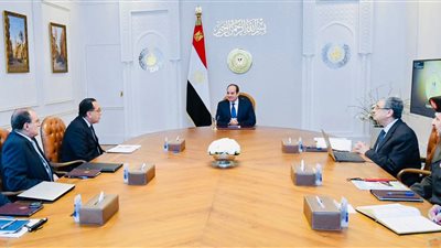 السيسي يوجه بـ استكمال خطوات التغذية الكهربائية الإضافية للمشروع القومي الدلتا الجديدة