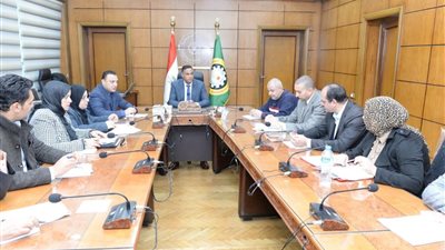 محافظ الدقهلية يترأس اجتماع اللجنة العليا لحماية الطفولة